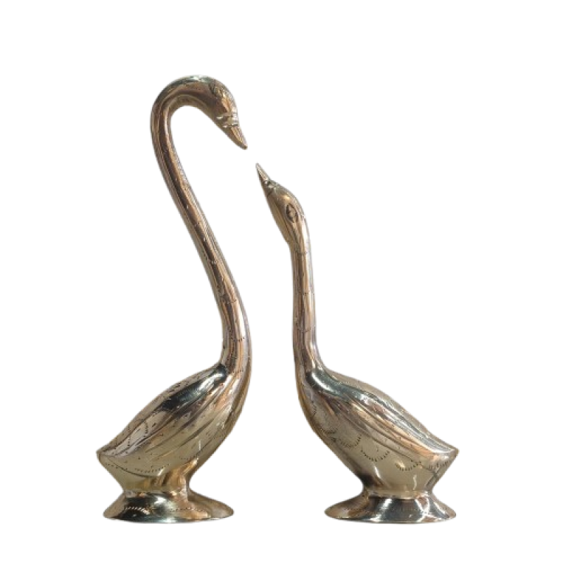 Brass Swan Pair
