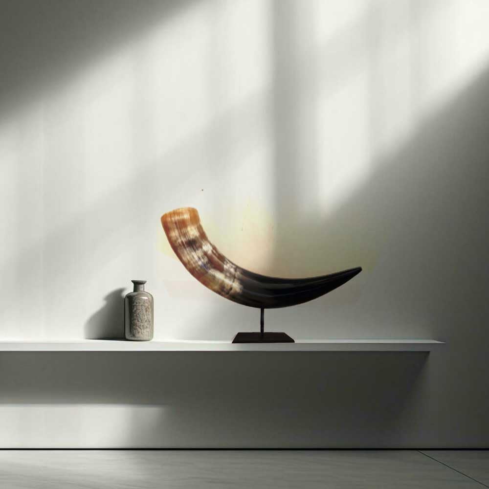 Buffalo Horn Decor