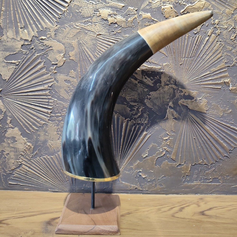 Natural 13-inch Buffalo Horn Decorative Showpiece for Home Décor